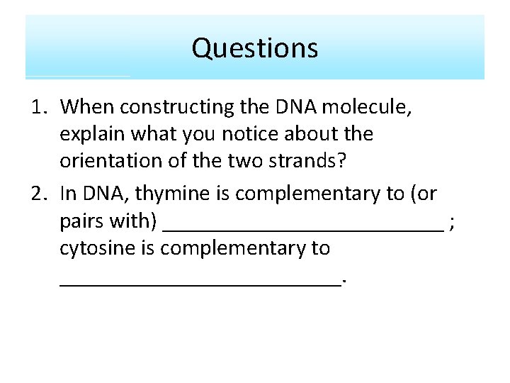 Questions 1. When constructing the DNA molecule, explain what you notice about the orientation