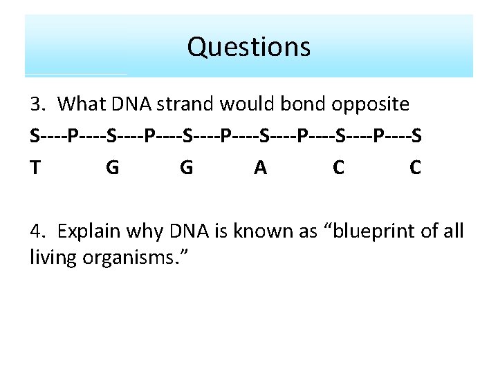 Questions 3. What DNA strand would bond opposite S----P----S----P----S----P----S T G G A C