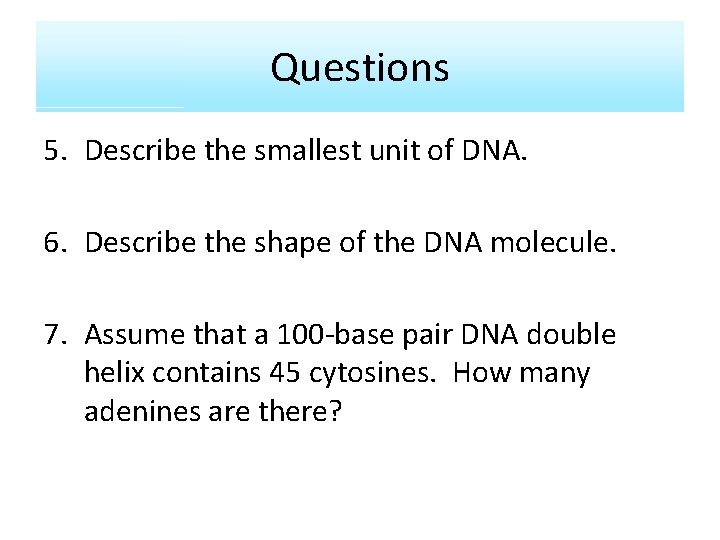 Questions 5. Describe the smallest unit of DNA. 6. Describe the shape of the