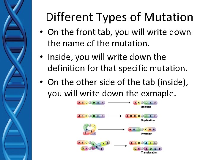 Different Types of Mutation • On the front tab, you will write down the