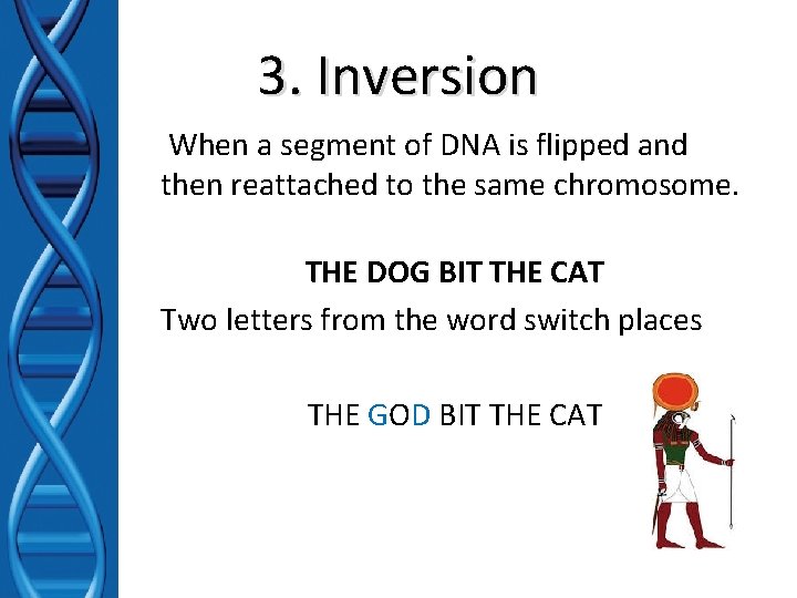 3. Inversion When a segment of DNA is flipped and then reattached to the