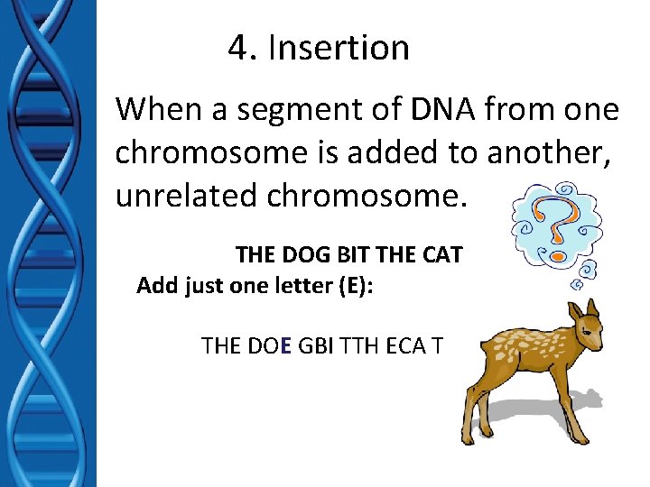 4. Insertion When a segment of DNA from one chromosome is added to another,