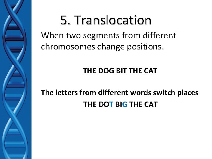 5. Translocation When two segments from different chromosomes change positions. THE DOG BIT THE