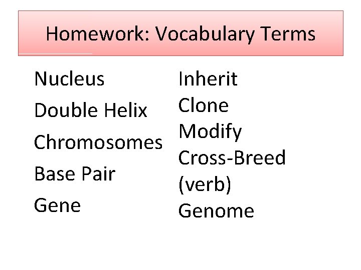 Homework: Vocabulary Terms Nucleus Double Helix Chromosomes Base Pair Gene Inherit Clone Modify Cross‐Breed