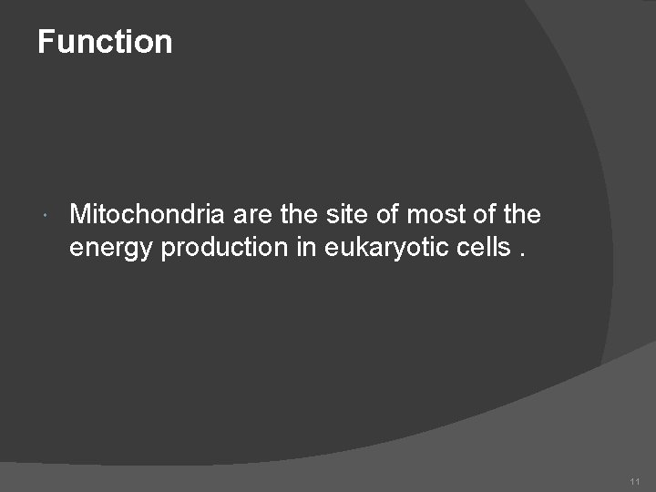 Function Mitochondria are the site of most of the energy production in eukaryotic cells.
