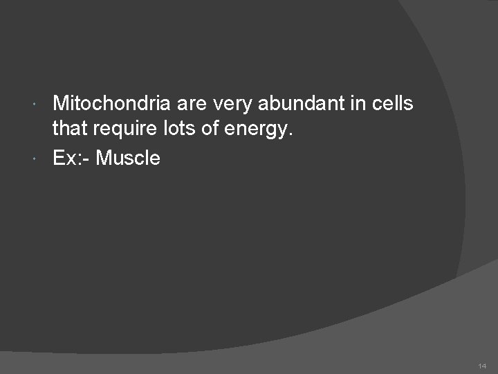 Mitochondria are very abundant in cells that require lots of energy. Ex: - Muscle