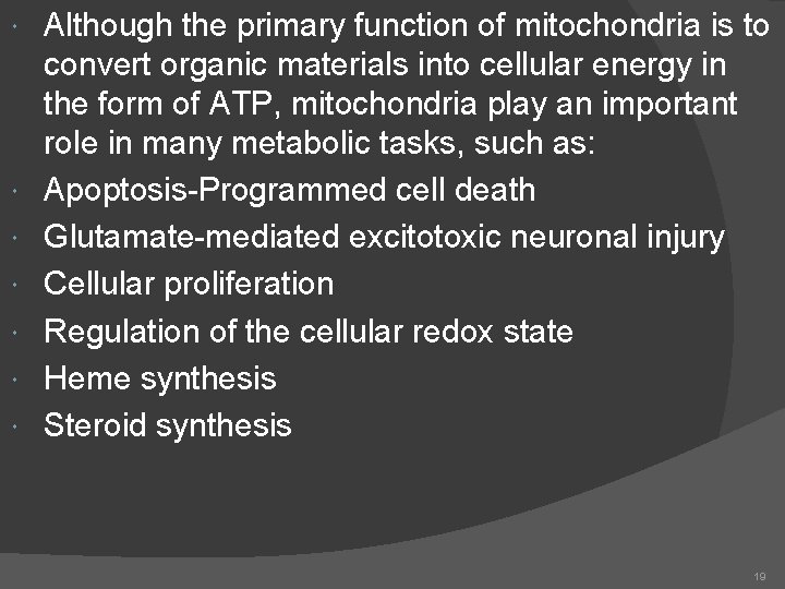  Although the primary function of mitochondria is to convert organic materials into cellular