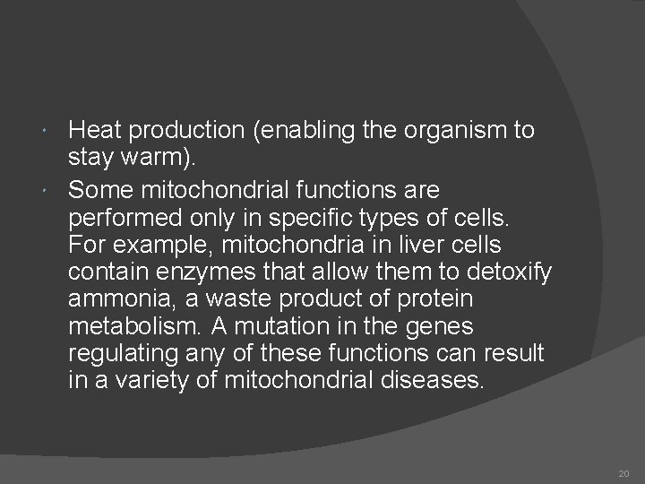 Heat production (enabling the organism to stay warm). Some mitochondrial functions are performed only