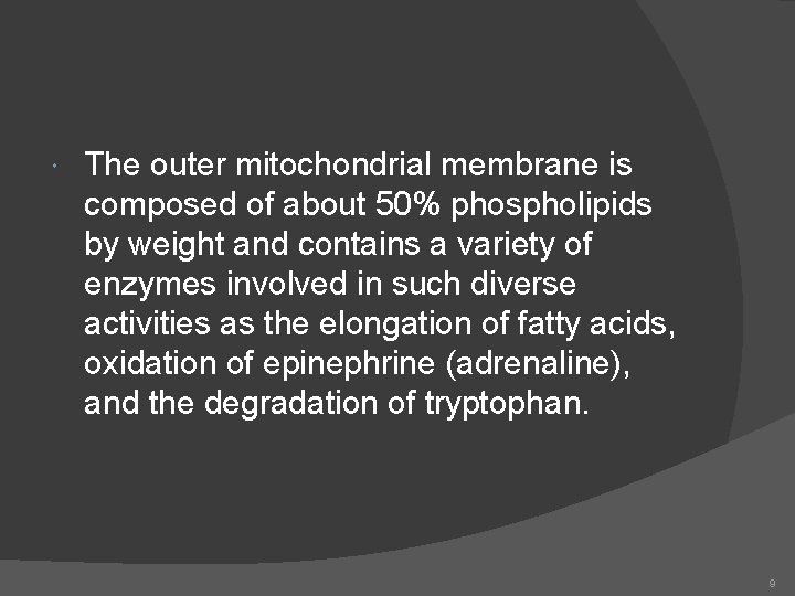  The outer mitochondrial membrane is composed of about 50% phospholipids by weight and