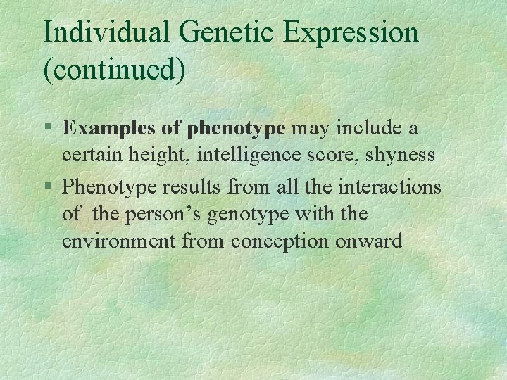 Individual Genetic Expression (continued) § Examples of phenotype may include a certain height, intelligence