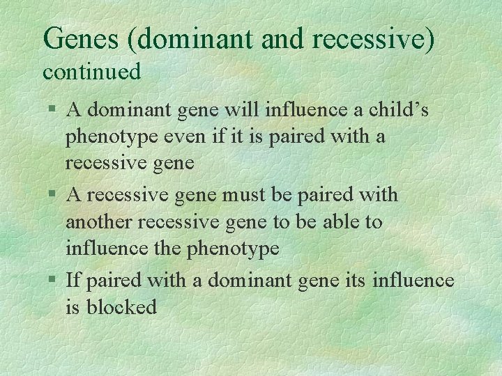 Genes (dominant and recessive) continued § A dominant gene will influence a child’s phenotype