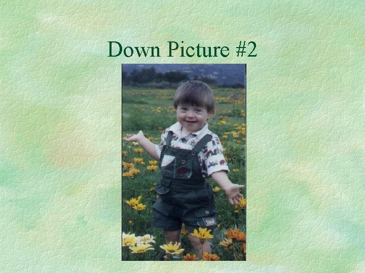 Down Picture #2 