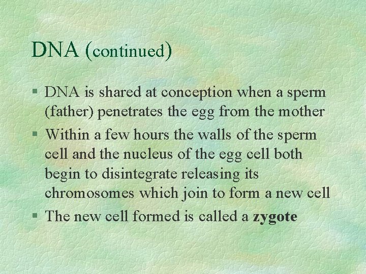 DNA (continued) § DNA is shared at conception when a sperm (father) penetrates the