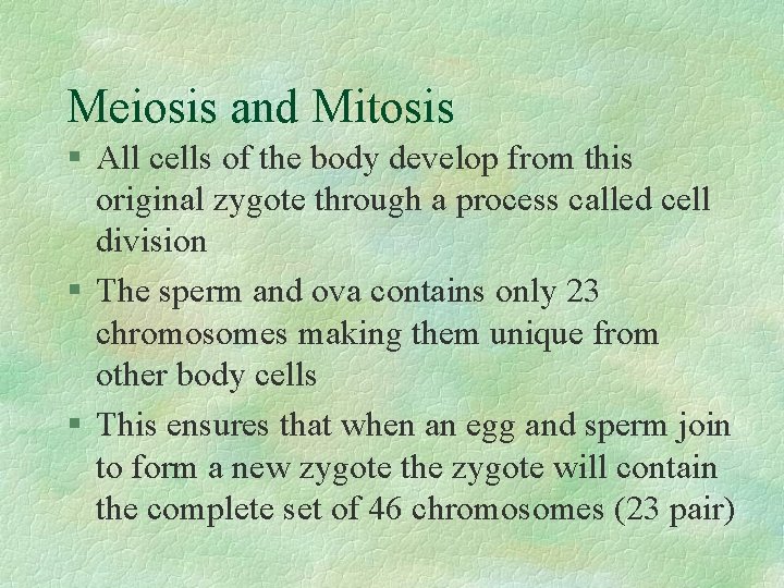 Meiosis and Mitosis § All cells of the body develop from this original zygote