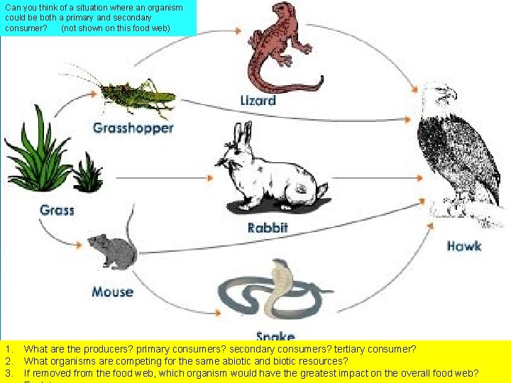 Can you think of a situation where an organism could be both a primary