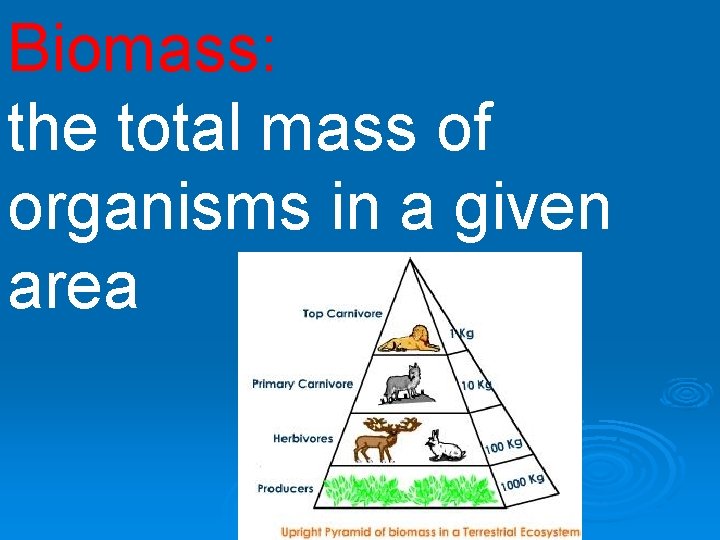 Biomass: the total mass of organisms in a given area 