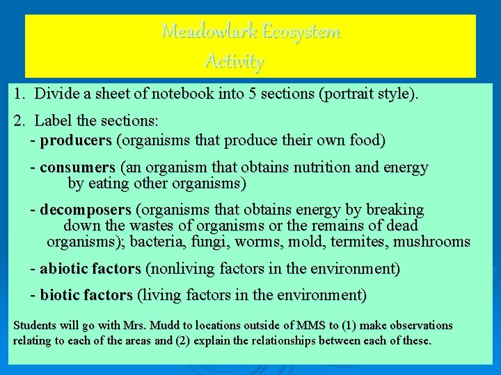 Meadowlark Ecosystem Activity 1. Divide a sheet of notebook into 5 sections (portrait style).