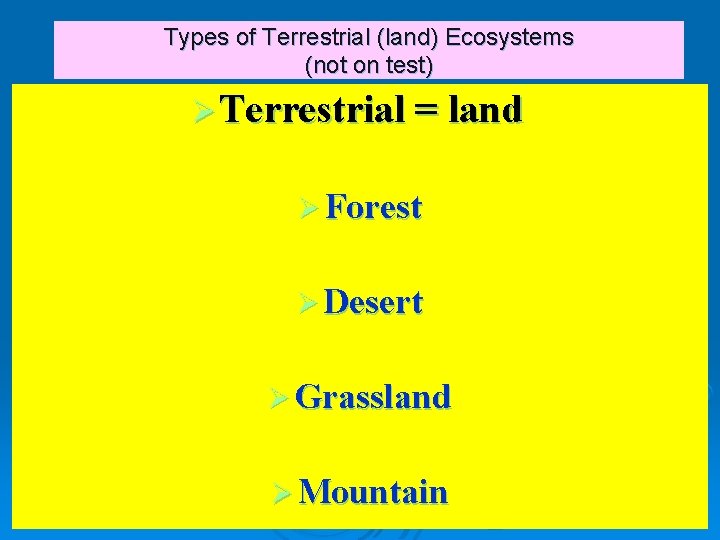 Types of Terrestrial (land) Ecosystems (not on test) Ø Terrestrial = land Ø Forest