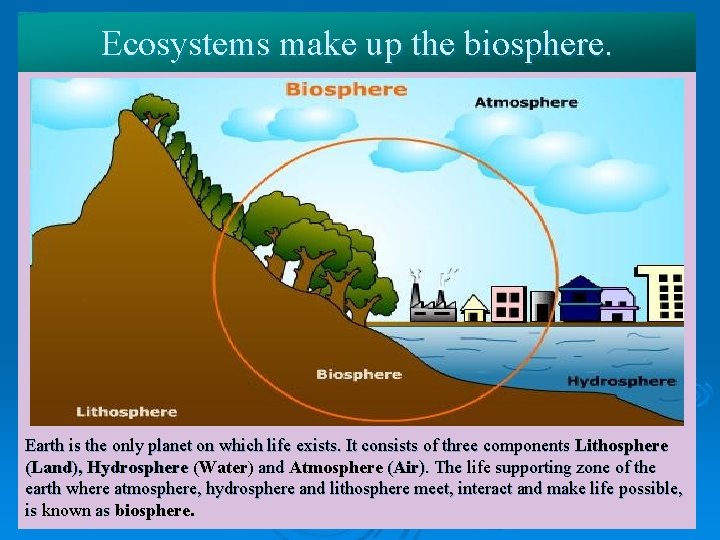 Ecosystems make up the biosphere. Earth is the only planet on which life exists.