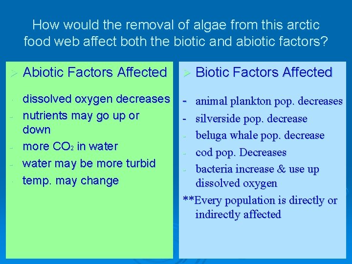 How would the removal of algae from this arctic food web affect both the
