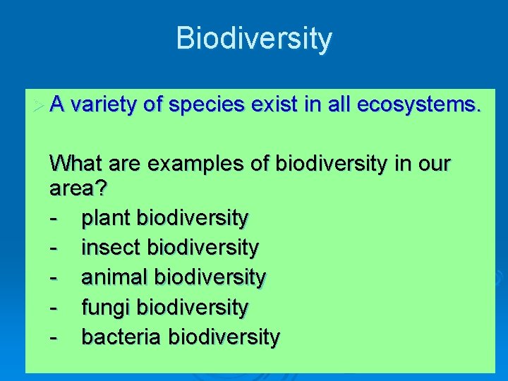 Biodiversity Ø A variety of species exist in all ecosystems. What are examples of