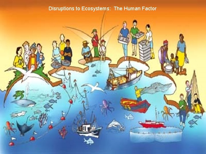 Disruptions to Ecosystems: The Human Factor 