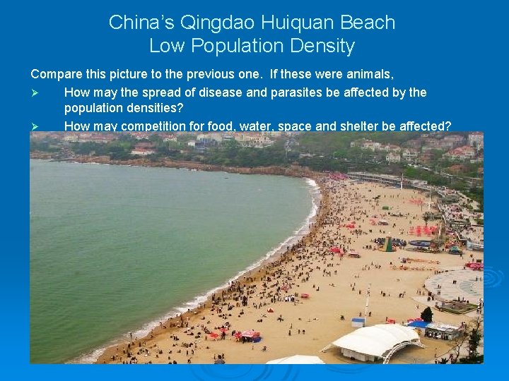 China’s Qingdao Huiquan Beach Low Population Density Compare this picture to the previous one.