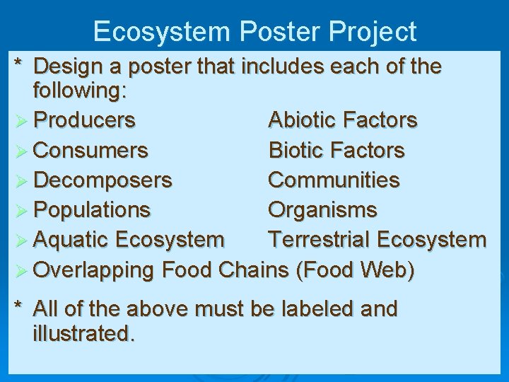 Ecosystem Poster Project * Design a poster that includes each of the following: Ø