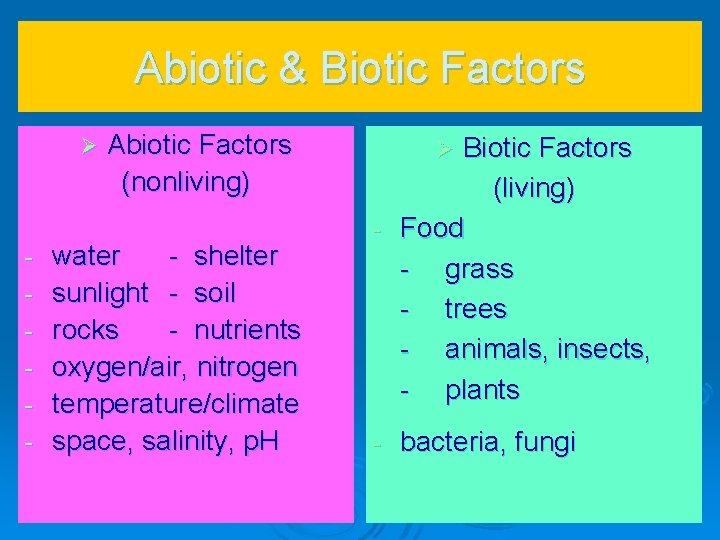 Abiotic & Biotic Factors Abiotic Factors (nonliving) water - shelter sunlight - soil rocks