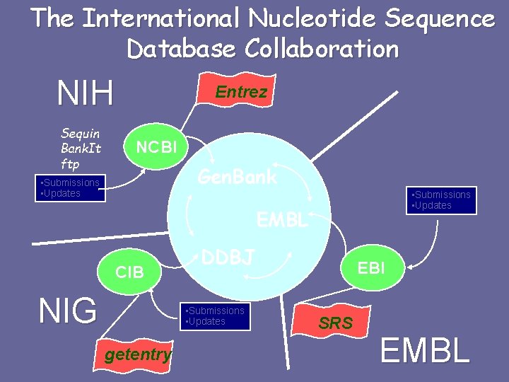 The International Nucleotide Sequence Database Collaboration NIH Sequin Bank. It ftp Entrez NCBI Gen.