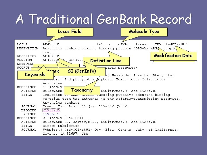 A Traditional Gen. Bank Record Locus Field Molecule Type Definition Line Accession Number Version