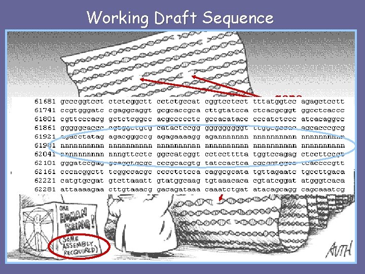 Working Draft Sequence gaps 