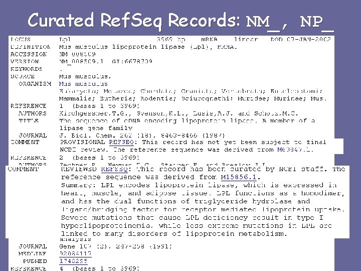 Curated Ref. Seq Records: NM_, NP_ 