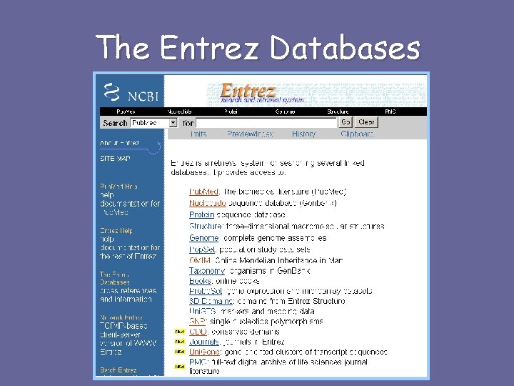 The Entrez Databases 
