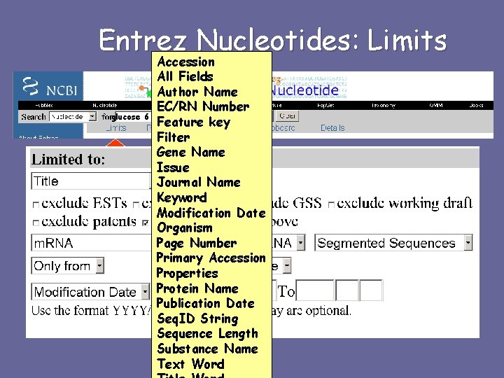 Entrez Nucleotides: Limits Accession All Fields Author Name EC/RN Number glucose 6 phosphate dehydrogenase