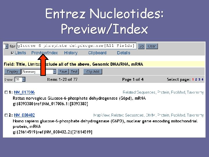 Entrez Nucleotides: Preview/Index 