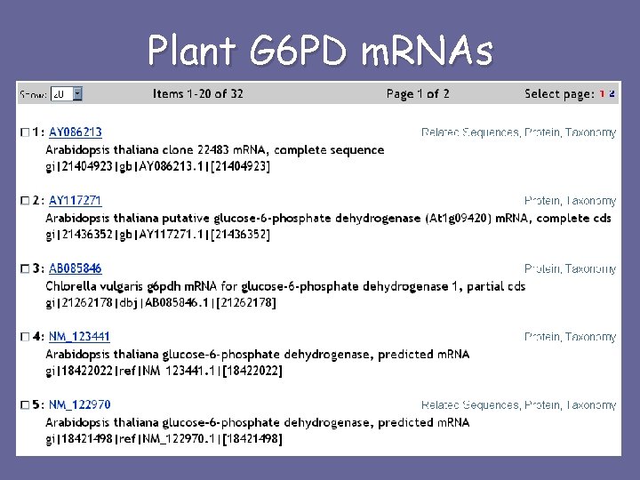 Plant G 6 PD m. RNAs 