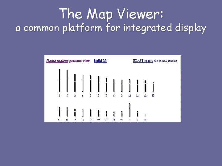 The Map Viewer: a common platform for integrated display 