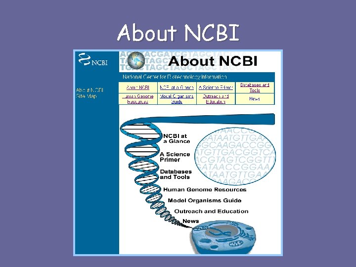 About NCBI 