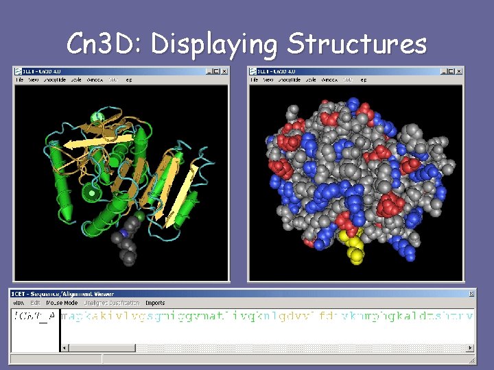 Cn 3 D: Displaying Structures 