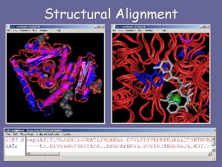 Structural Alignment 