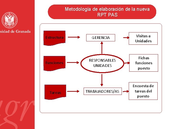 Metodología de elaboración de la nueva RPT PAS Estructura Funciones Tareas GERENCIA Visitas a