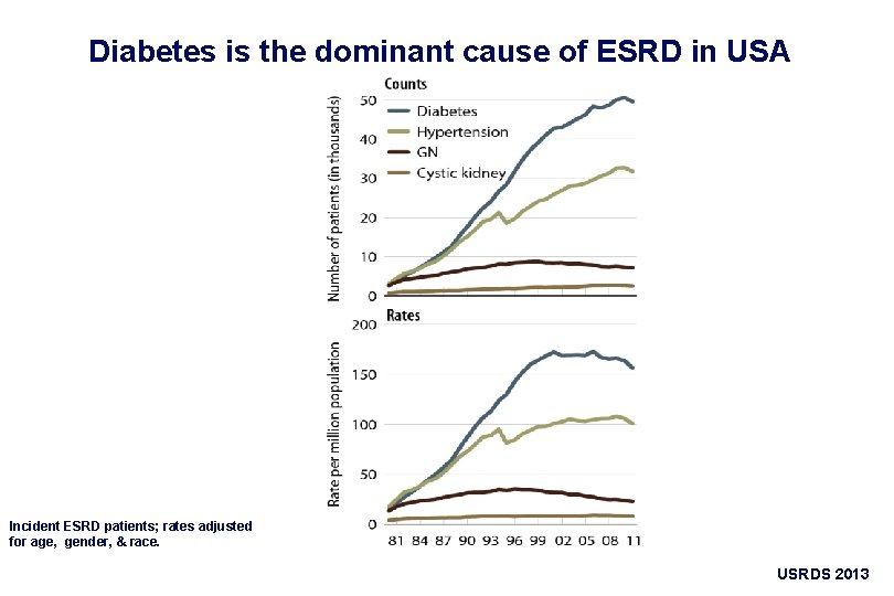Diabetes is the dominant cause of ESRD in USA Incident ESRD patients; rates adjusted