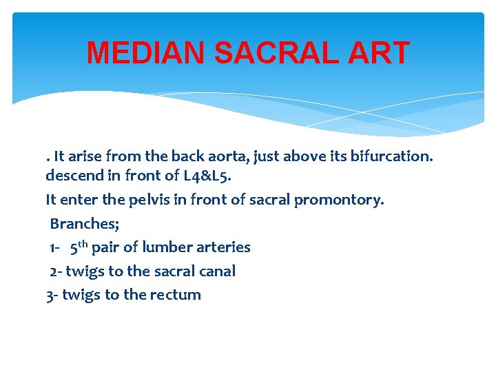 MEDIAN SACRAL ART. It arise from the back aorta, just above its bifurcation. descend MEDIAN SACRAL ART. It arise from the back aorta, just above its bifurcation. descend