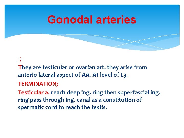 Gonodal arteries ; They are testicular or ovarian art. they arise from anterio lateral Gonodal arteries ; They are testicular or ovarian art. they arise from anterio lateral