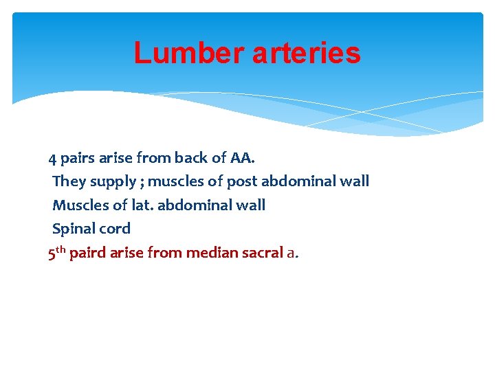 Lumber arteries 4 pairs arise from back of AA. They supply ; muscles of Lumber arteries 4 pairs arise from back of AA. They supply ; muscles of