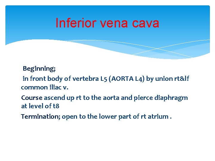 Inferior vena cava Beginning; in front body of vertebra L 5 (AORTA L 4) Inferior vena cava Beginning; in front body of vertebra L 5 (AORTA L 4)