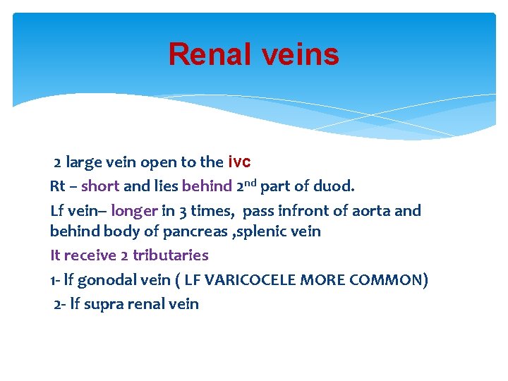 Renal veins 2 large vein open to the ivc Rt – short and lies Renal veins 2 large vein open to the ivc Rt – short and lies
