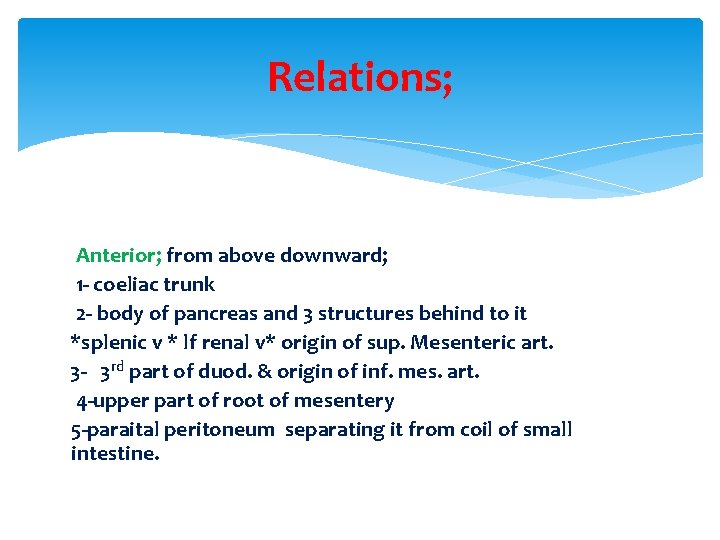 Relations; Anterior; from above downward; 1 - coeliac trunk 2 - body of pancreas Relations; Anterior; from above downward; 1 - coeliac trunk 2 - body of pancreas