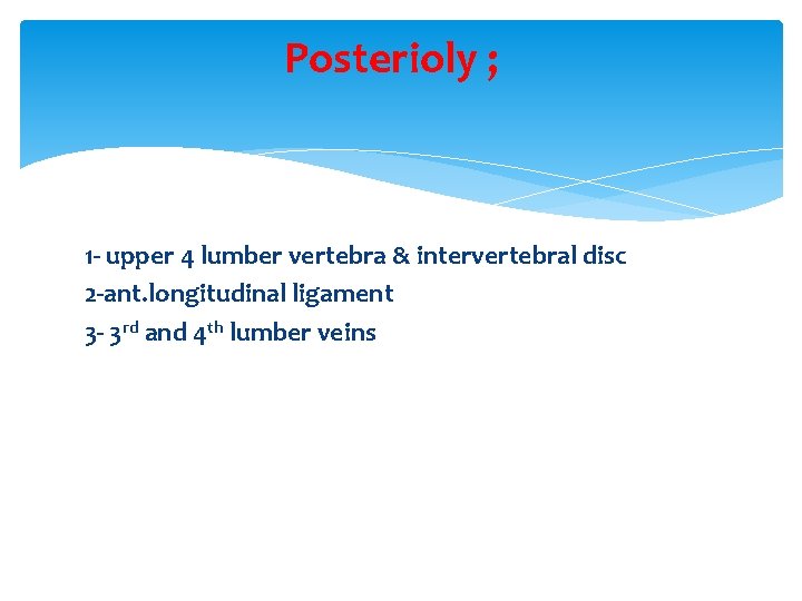 Posterioly ; 1 - upper 4 lumber vertebra & intervertebral disc 2 -ant. longitudinal Posterioly ; 1 - upper 4 lumber vertebra & intervertebral disc 2 -ant. longitudinal